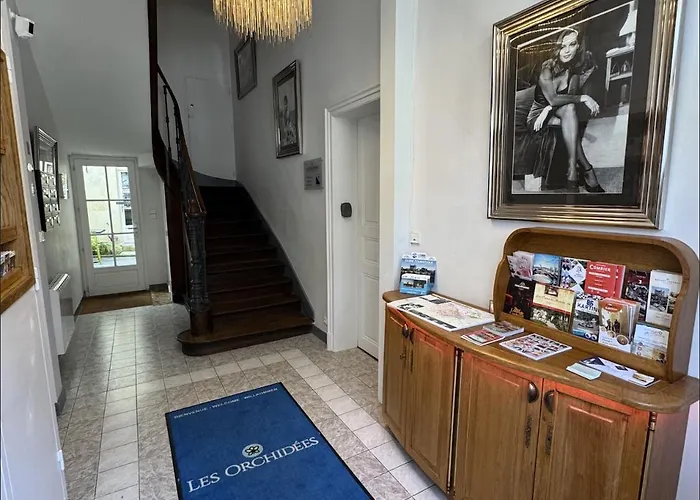 Les Lys D'or アパート ソミュール